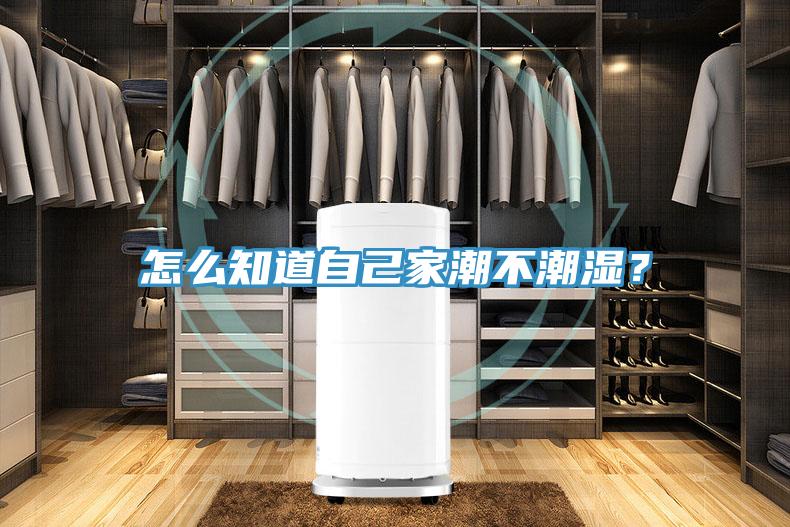 怎么知道自己家潮不潮湿？
