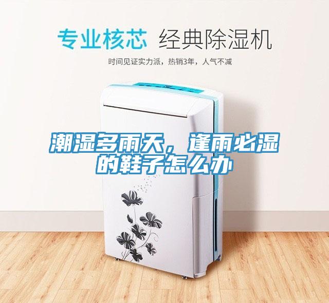 潮湿多雨天，逢雨必湿的鞋子怎么办
