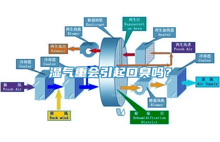 湿气重会引起口臭吗？