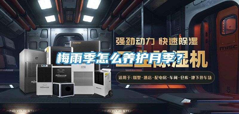 梅雨季怎么养护月季？