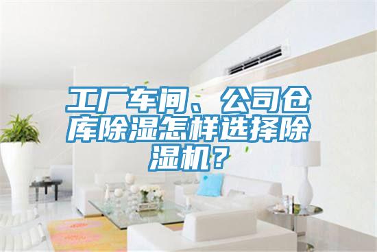 工厂车间、公司仓库除湿怎样选择好色先生免费APP？