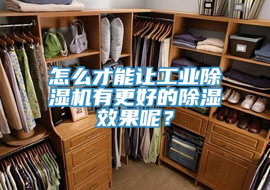 怎么才能让工业好色先生免费APP有更好的除湿效果呢？