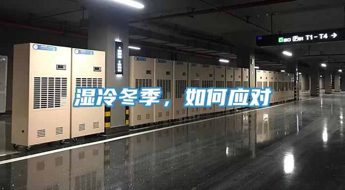 湿冷冬季，如何应对
