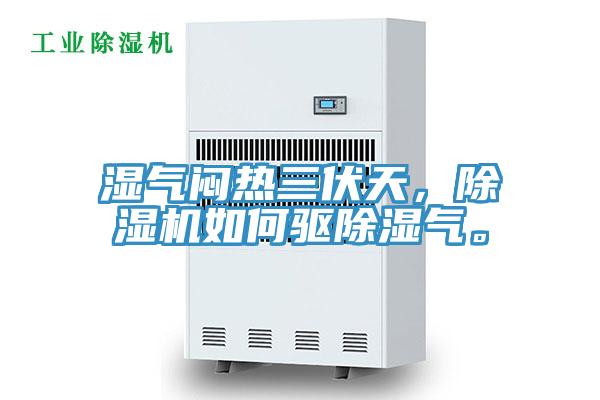 湿气闷热三伏天，好色先生免费APP如何驱除湿气。