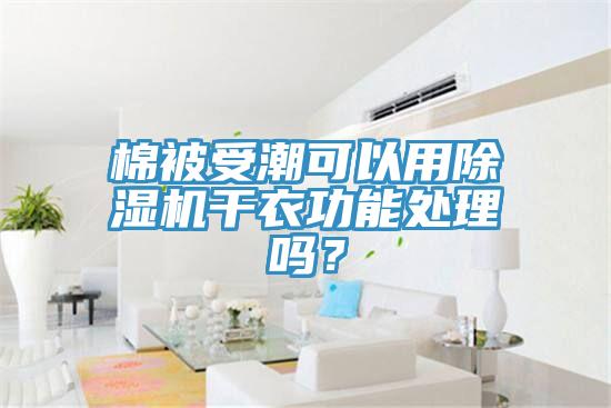 棉被受潮可以用好色先生免费APP干衣功能处理吗？