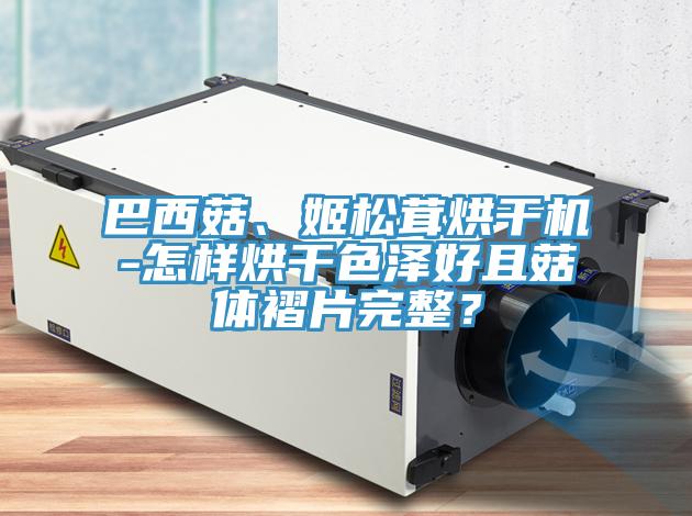 巴西菇、姬松茸烘干机-怎样烘干色泽好且菇体褶片完整？