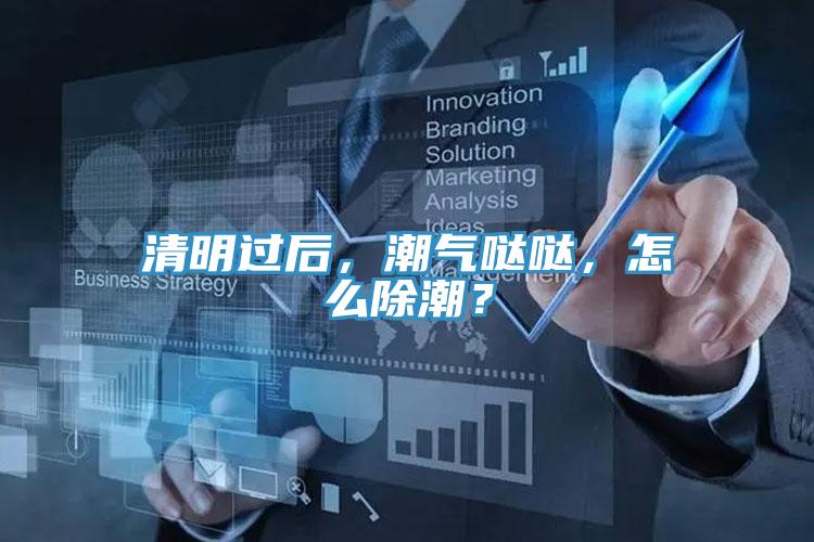 清明过后，潮气哒哒，怎么除潮？