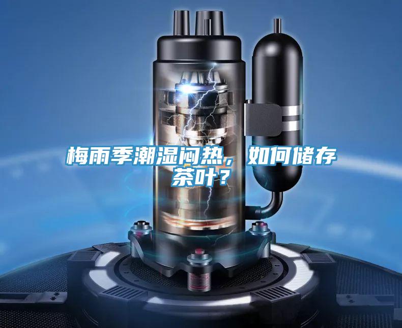梅雨季潮湿闷热，如何储存茶叶？