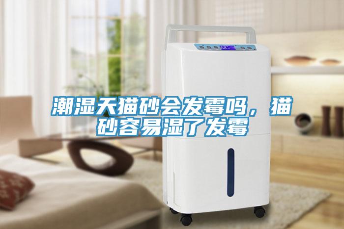 潮湿天猫砂会发霉吗，猫砂容易湿了发霉