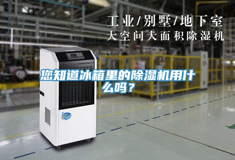 您知道冰箱里的好色先生免费APP用什么吗？