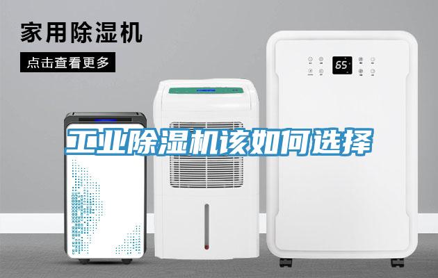 工业好色先生免费APP该如何选择