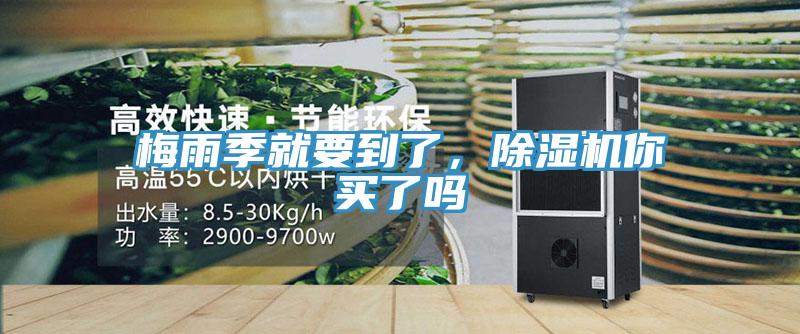 梅雨季就要到了，好色先生免费APP你买了吗
