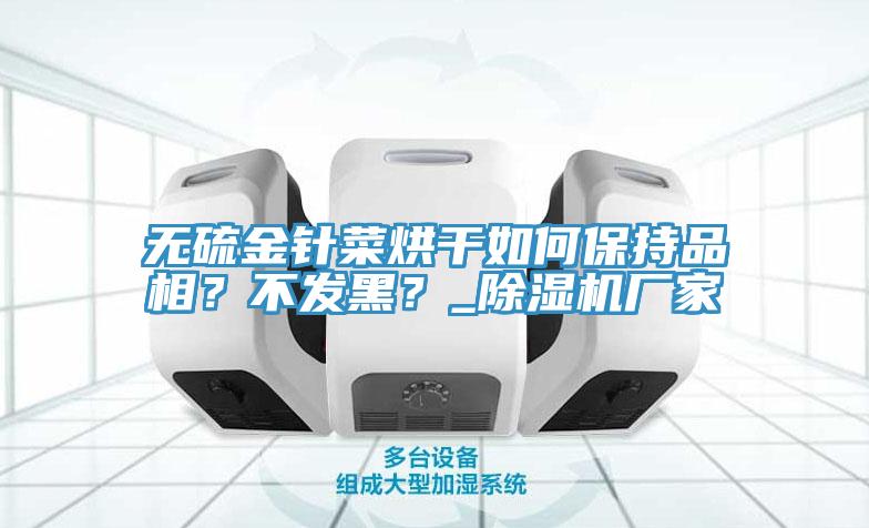 无硫金针菜烘干如何保持品相？不发黑？_好色先生免费APP厂家