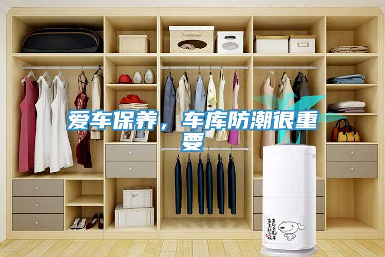 爱车保养，车库防潮很重要