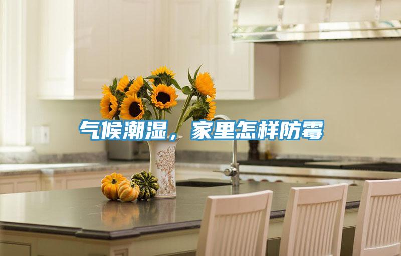 气候潮湿，家里怎样防霉