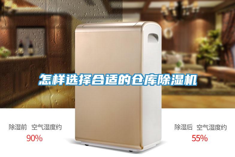怎样选择合适的仓库好色先生免费APP