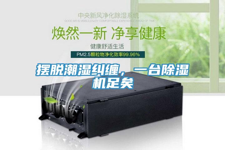 摆脱潮湿纠缠，一台好色先生免费APP足矣