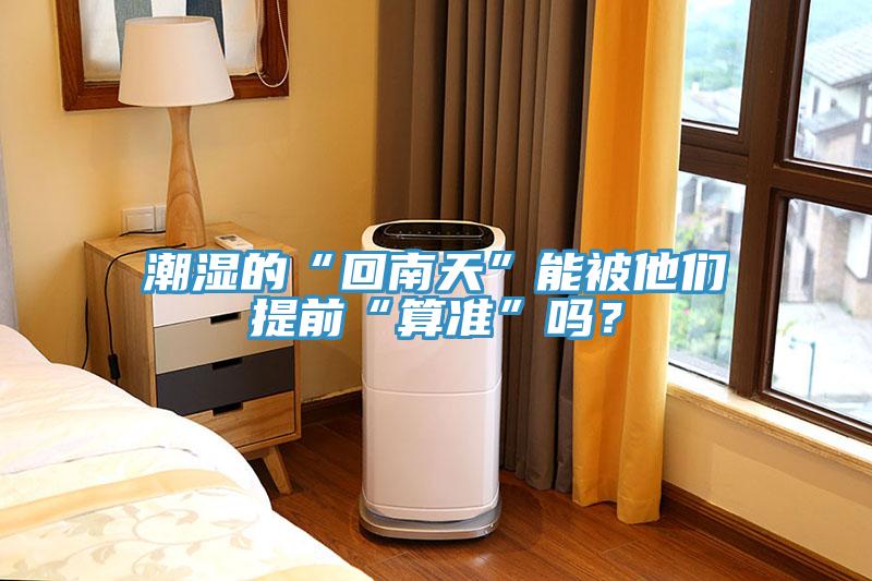 潮湿的“回南天”能被他们提前“算准”吗？
