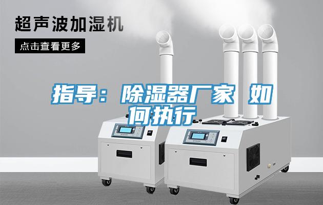 指导：除湿器厂家 如何执行