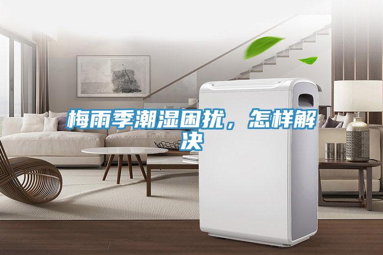 梅雨季潮湿困扰，怎样解决