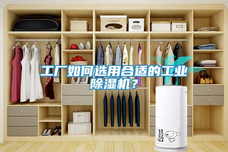工厂如何选用合适的工业好色先生免费APP？