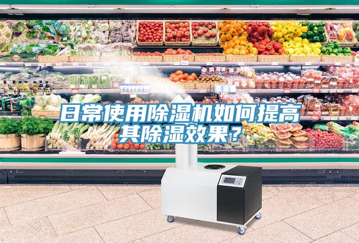日常使用好色先生免费APP如何提高其除湿效果？
