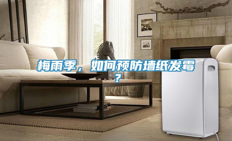 梅雨季，如何预防墙纸发霉？