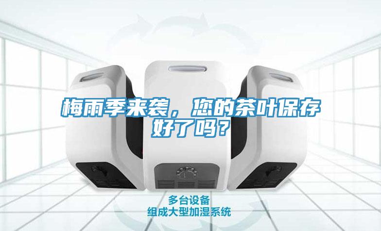 梅雨季来袭，您的茶叶保存好了吗？