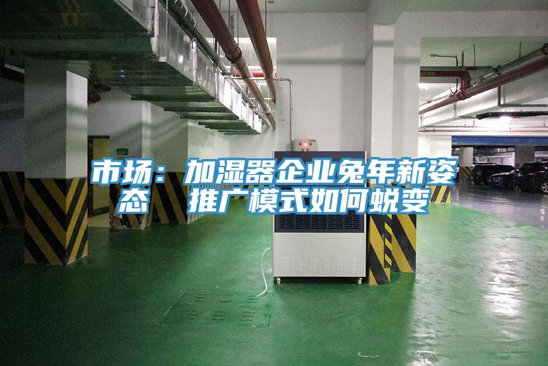 市场：加湿器企业兔年新姿态  推广模式如何蜕变
