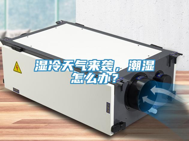 湿冷天气来袭，潮湿怎么办？