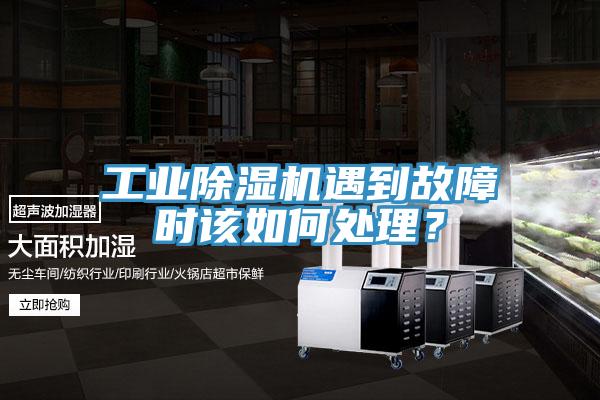 工业好色先生免费APP遇到故障时该如何处理？