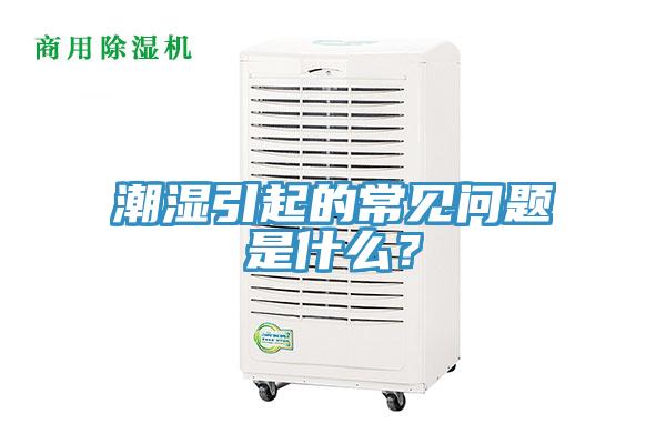 潮湿引起的常见问题是什么？
