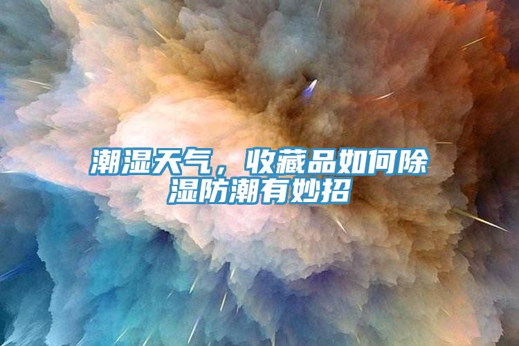 潮湿天气，收藏品如何除湿防潮有妙招