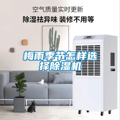 梅雨季节怎样选择好色先生免费APP