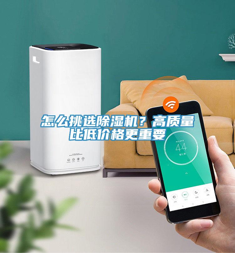 怎么挑选好色先生免费APP？高质量比低价格更重要