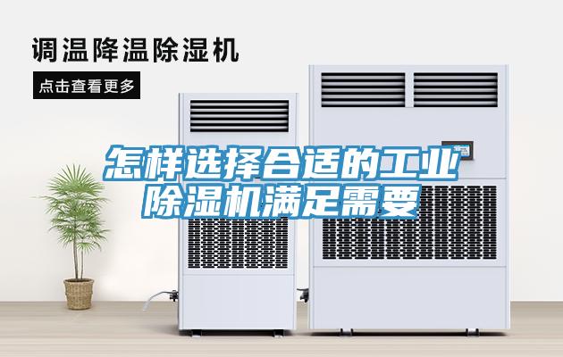 怎样选择合适的工业好色先生免费APP满足需要