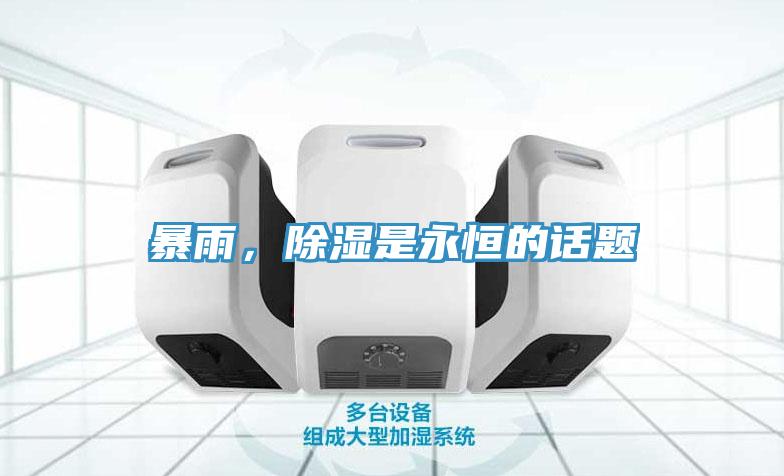 暴雨，除湿是永恒的话题
