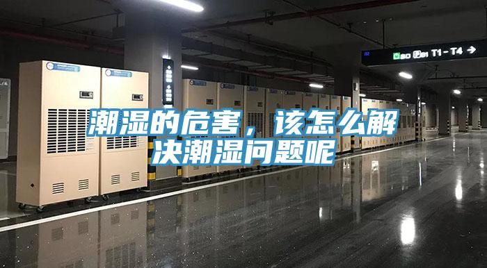 潮湿的危害，该怎么解决潮湿问题呢