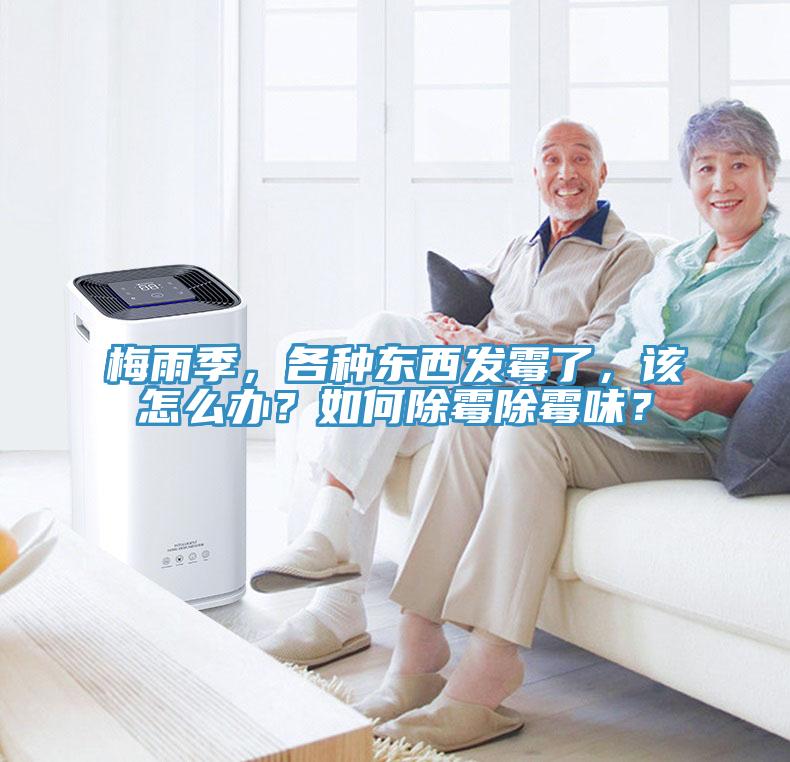 梅雨季，各种东西发霉了，该怎么办？如何除霉除霉味？