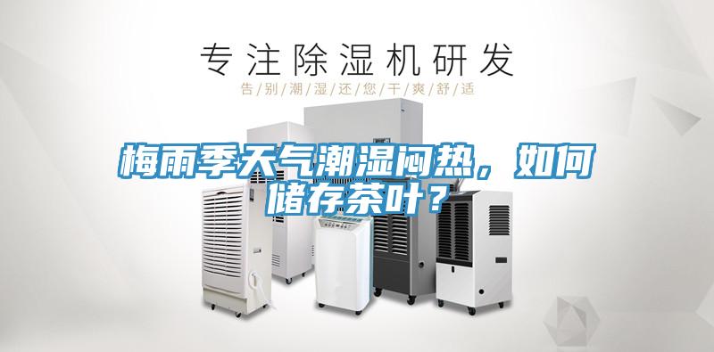 梅雨季天气潮湿闷热，如何储存茶叶？