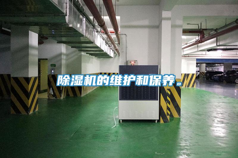 好色先生免费APP的维护和保养。