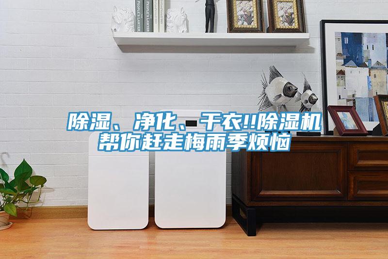 除湿、净化、干衣!!好色先生免费APP帮你赶走梅雨季烦恼