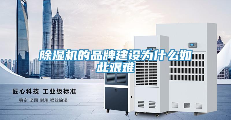 好色先生免费APP的品牌建设为什么如此艰难