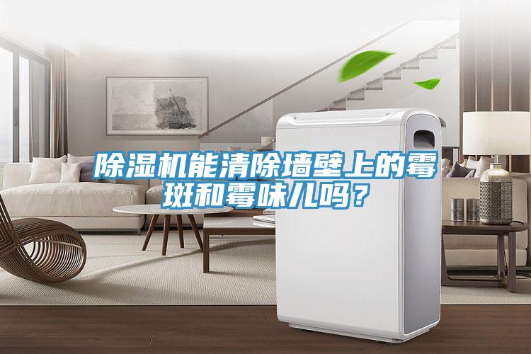 好色先生免费APP能清除墙壁上的霉斑和霉味儿吗？