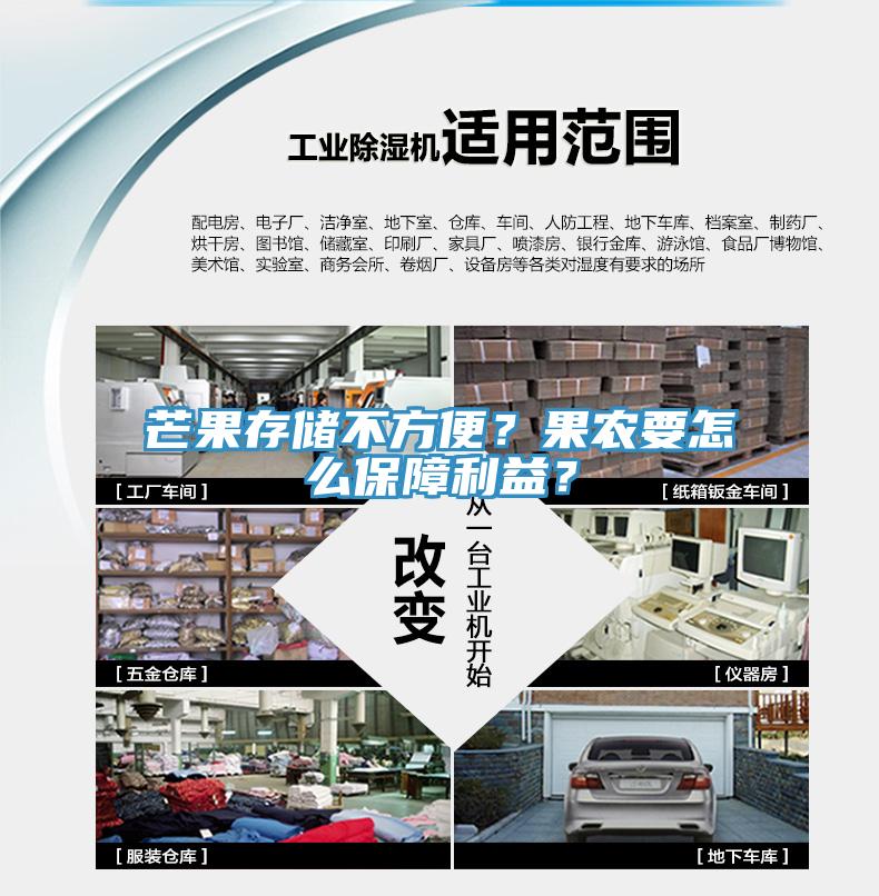 芒果存储不方便？果农要怎么保障利益？
