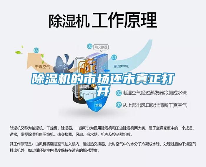 好色先生免费APP的市场还未真正打开