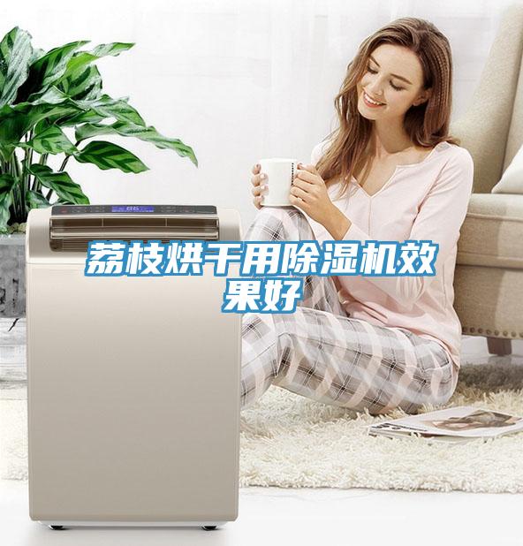 荔枝烘干用好色先生免费APP效果好