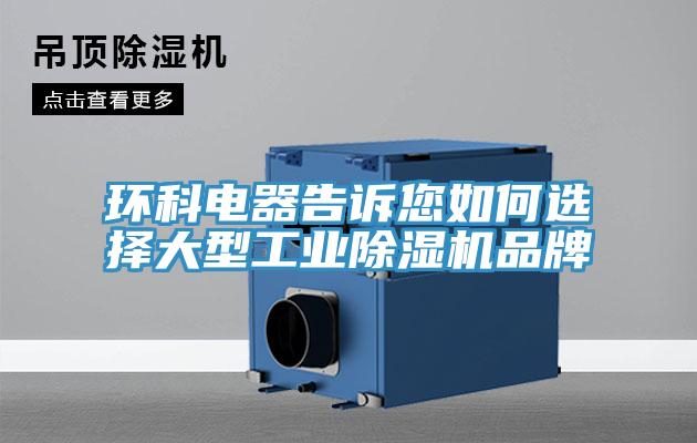 环科电器告诉您如何选择大型工业好色先生免费APP品牌