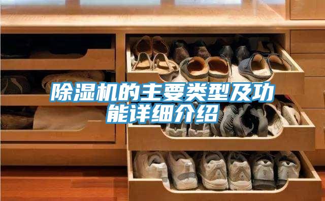 好色先生免费APP的主要类型及功能详细介绍
