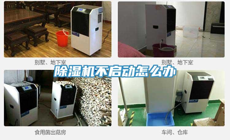 好色先生免费APP不启动怎么办